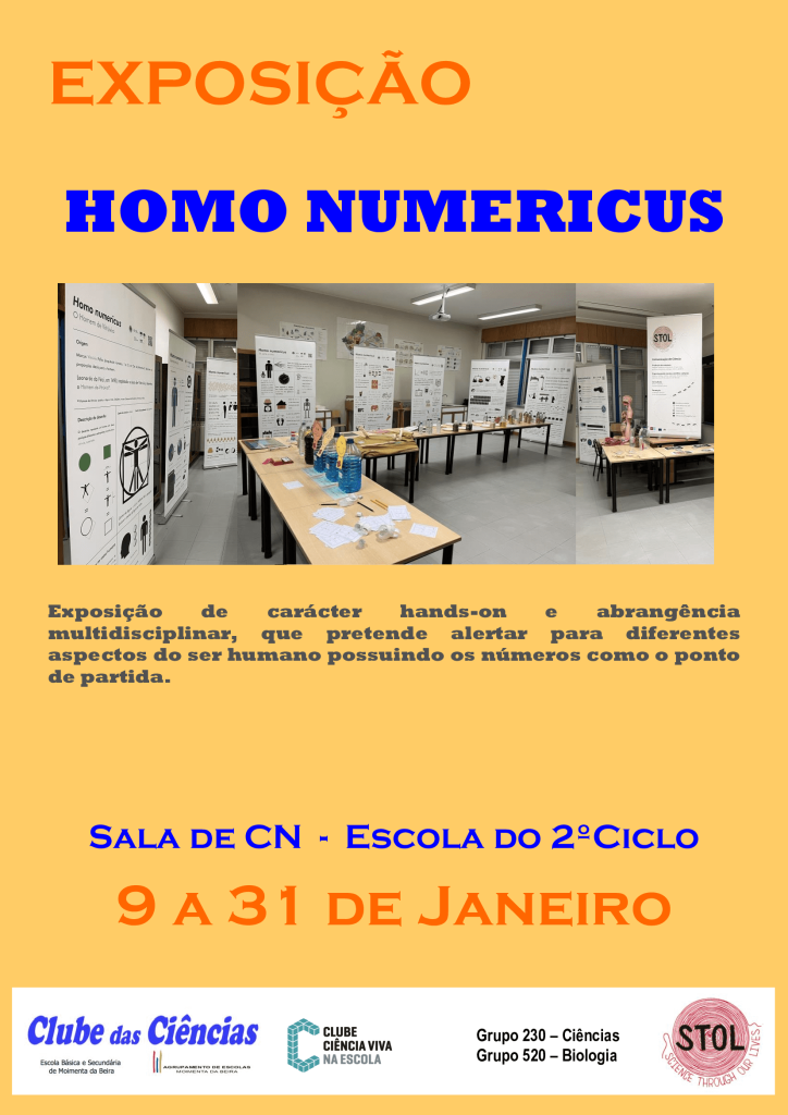 EXPOSIÇÃO HOMO NUMERICUS2