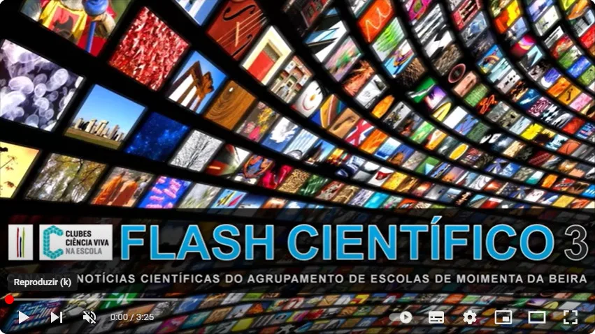 Flash Científico Nº3 (foto 1 de 2)