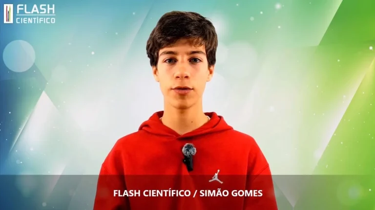Capa net (foto 1 de 2)