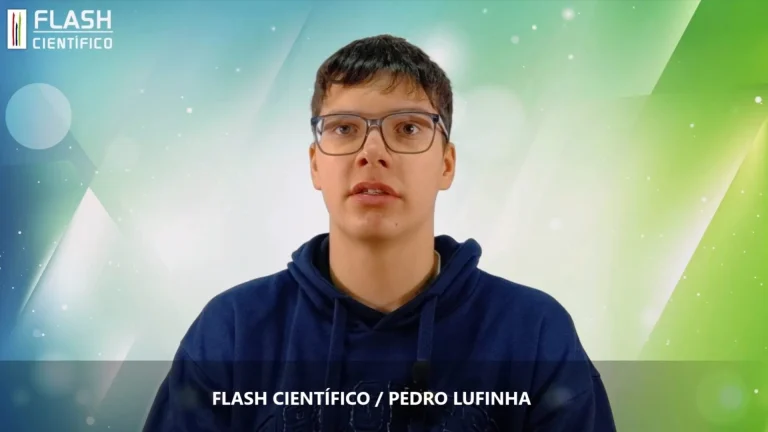 Flash13