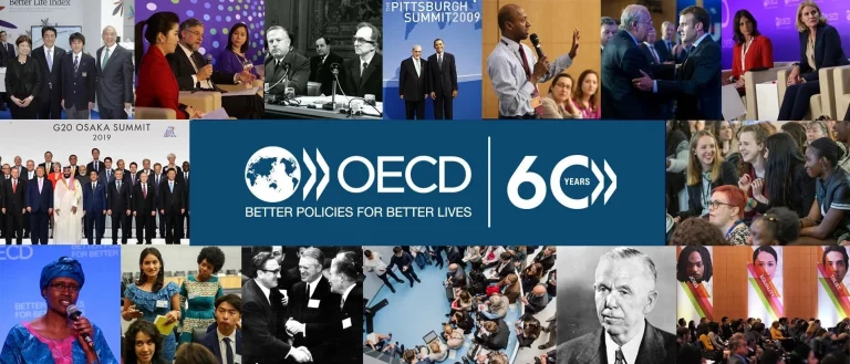 Webinar OCDE – Parabéns Docente Conceição Pinheiro