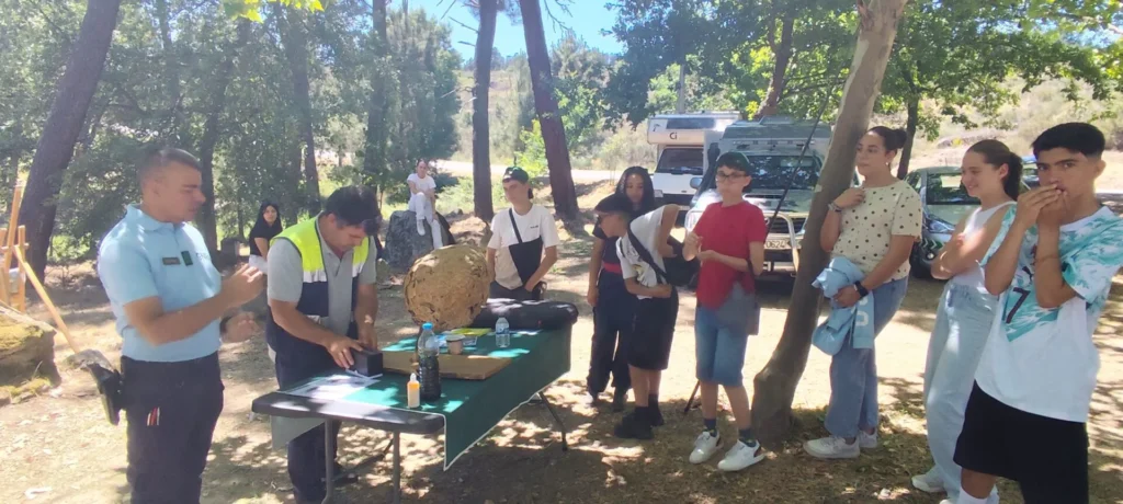 Práticas de sensibilização ambiental, promoção da cidadania ativa e reforço da cultura de autoproteção (foto 4 de 9)
