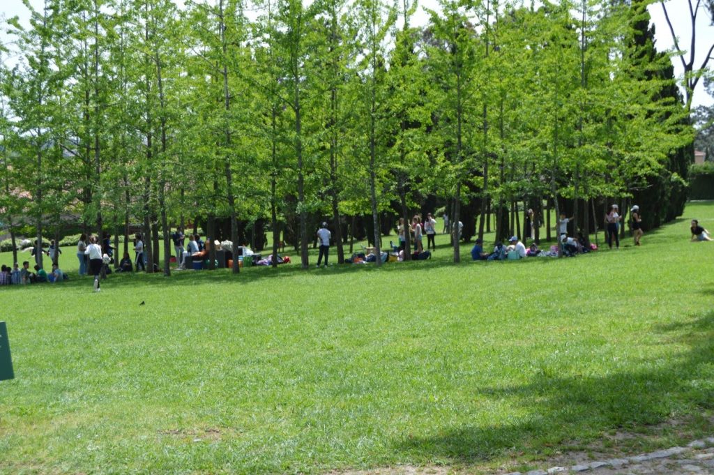 Visita de Estudo 2º ciclo - Fundação Serralves/Casa da Música (foto 4 de 7)