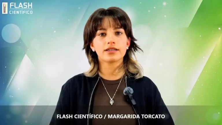 Capa net 8