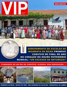 VIP AEMB 08.07b
